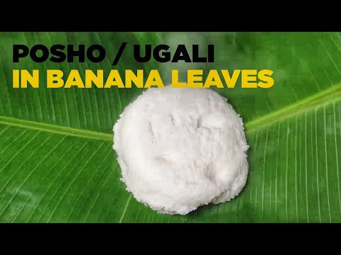 HOW TO MAKE POSHO / UGALI / MAIZE MEAL |The cooking nurse