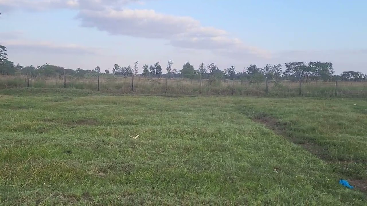 0.1 Acre Garden Plot with Parking for KSh 1.6M