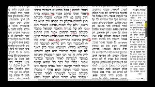 דף יומי מסכת מועד קטן דף יב - השיעור המשולב: הסבר בתרשים + קריאה בגמרא עצמה