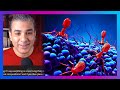 Viruses Neither Dead Nor Alive AskAbhijit E18Q18 Abhijit Chavda