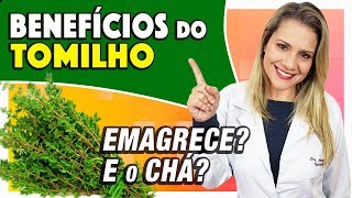 Benefícios do Tomilho - Para Que Serve? Emagrece? E o Chá? [COMO USAR e DICAS]