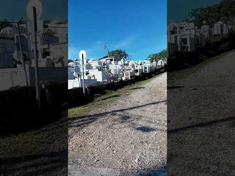 Coto brus Puntarenas costa rica 🇨🇷