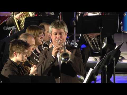 FORTUNE'S FOOL - Alexis Demailly & Musicalis