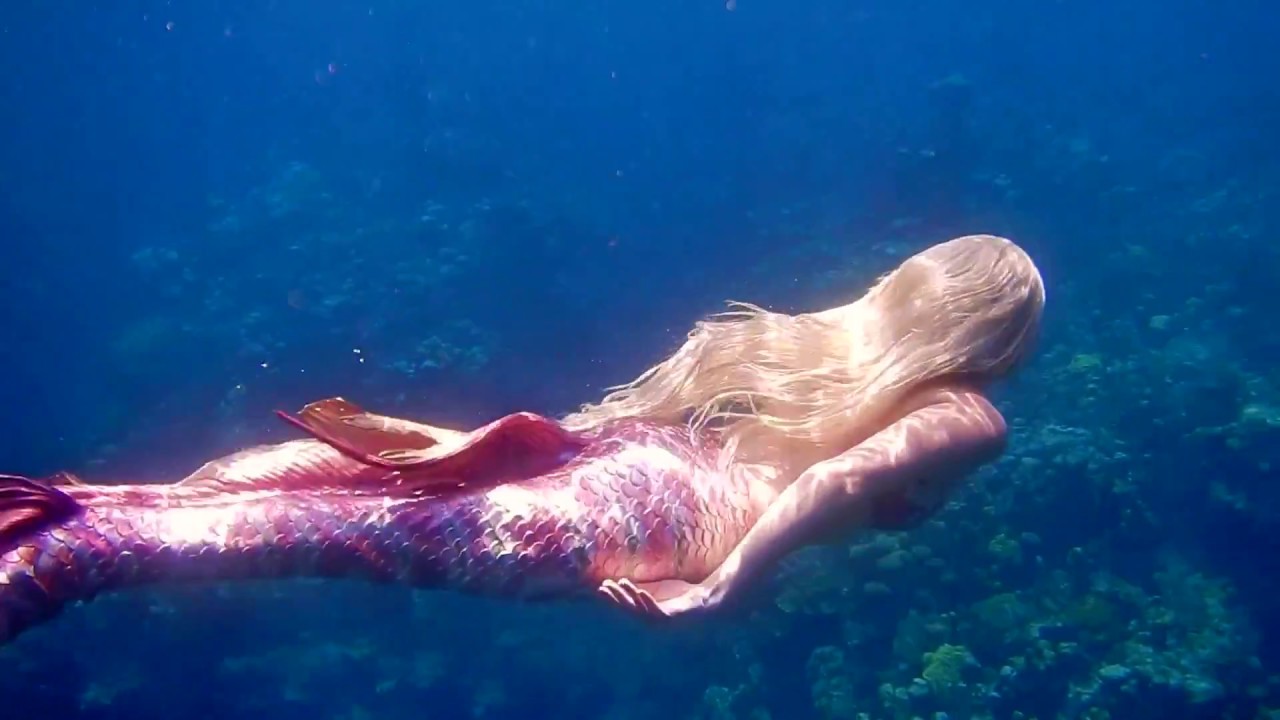 Promotional video thumbnail 1 for Music City Mermaid