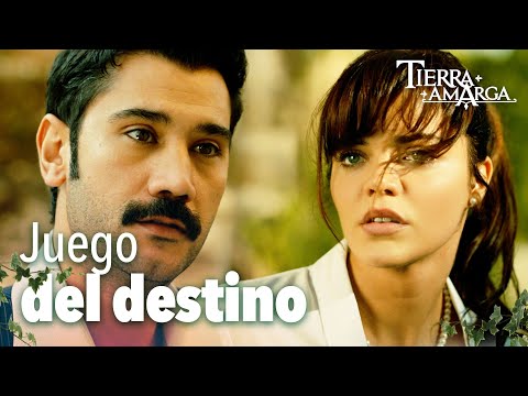 Züleyha vio las invitaciones de boda de Yılmaz - Capítulo 110