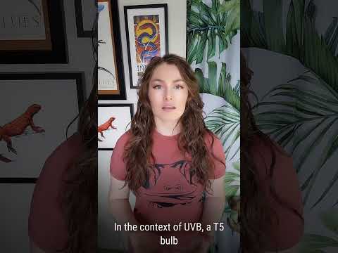 Ask ReptiFiles: What's the difference between T8 vs T5 UVB bulbs?