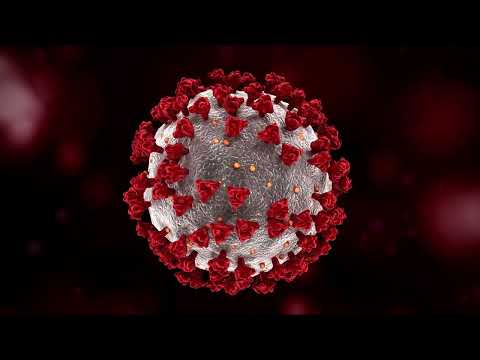 Psychedelic Virus Art | Mesmerizing Microscopic Patterns for Your 420 Nights PSYCHEDELIC TRIP # 91