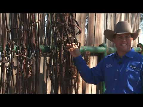 Casey Deary Bit Timeline