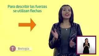 #AprendeEnCasa | Secundaria 2do | CIENCIAS Y TECNOLOGÍA. FÍSICA | 14 de Mayo 2020