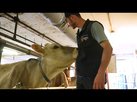 Jungbauer Elias Prieth und seine Leidenschaft für die Tierzucht