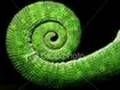 Spiral In Beauty - Meditative Hang and Native Flute music