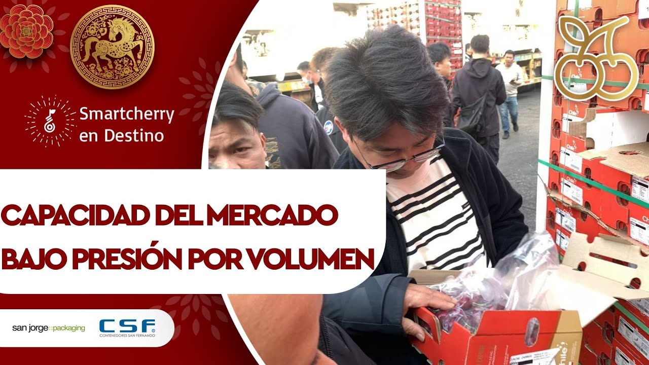 A pesar del volumen, hay optimismo en aumentar venta de cerezas ad portas del Año Nuevo Chino