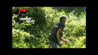 montoro-sequestrate-due-tonnellate-di-marijuana