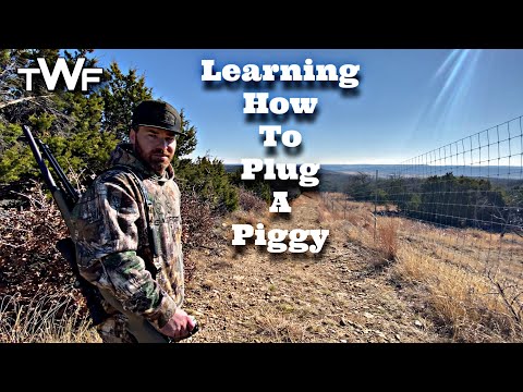 Learning How To Hog Hunt In Texas