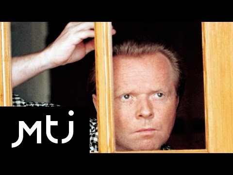 Michał Bajor  - Witraże