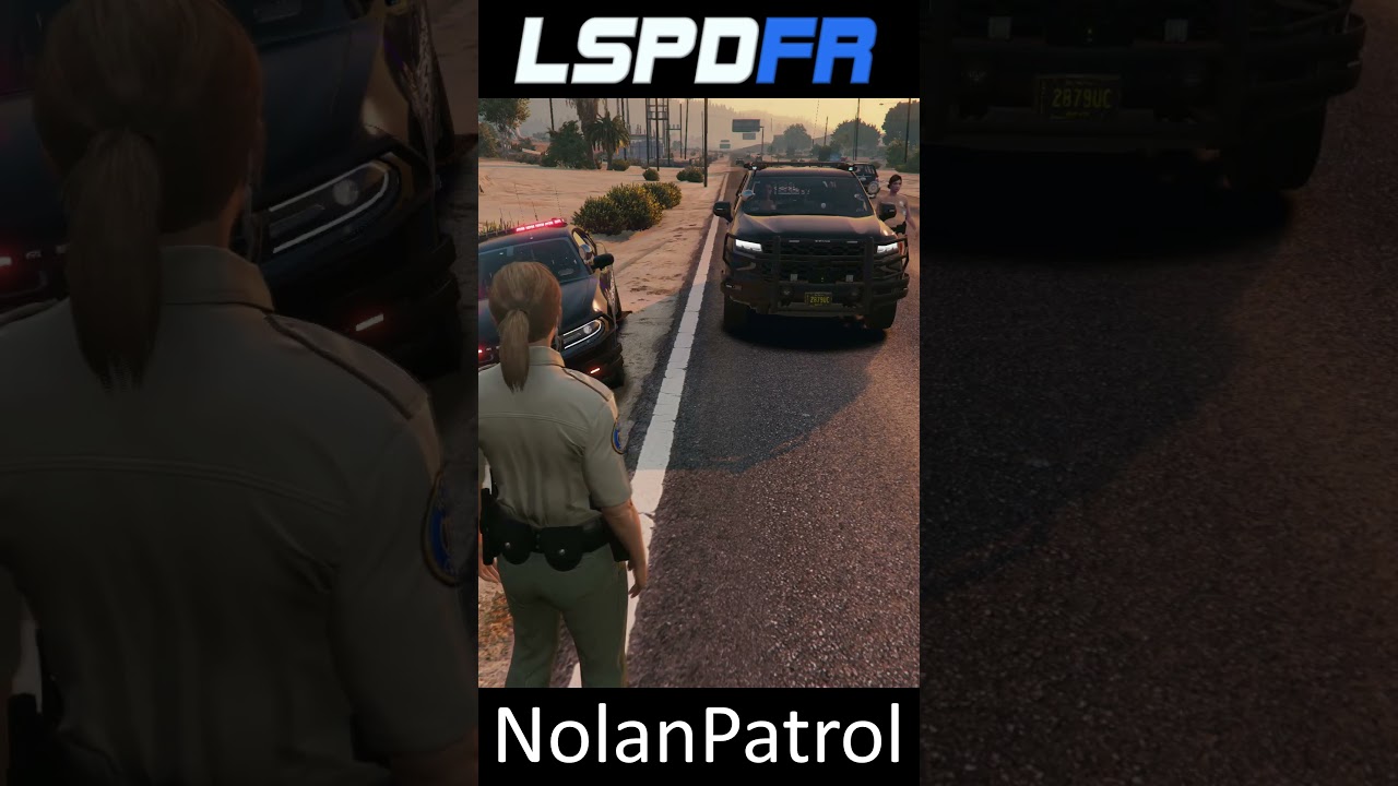 GTA LSPDFR || When EUP and Ultimate BACKUP are NOT matching 💀😂