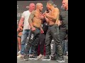 Volkanovski x Korean Zombie stare down ? | #shorts