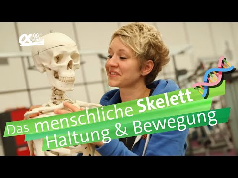 Video Massage Ellenbogen Ð »ÐμÑ Ñ ‡ ÐμниÐμ ол D ÑÐμÑ