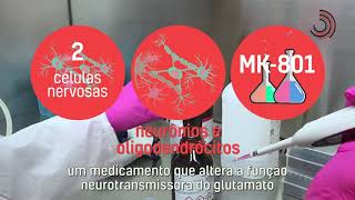 Miniatura do vídeo
