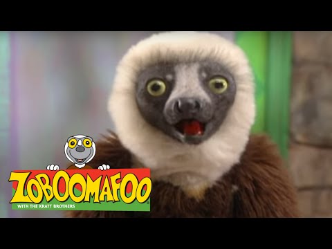 Zoboomafoo 203 - Talk to Me (Full Episode)