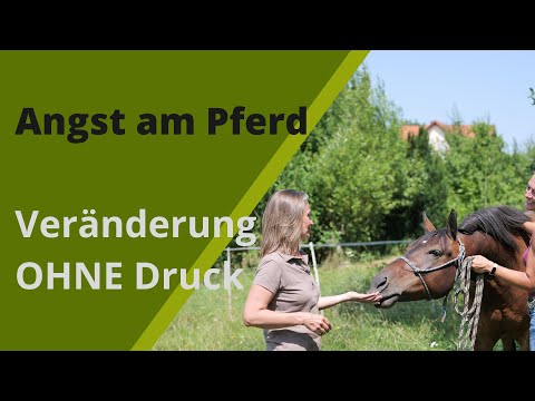 Veränderung am Pferd ohne Druck  IAngst am und auf dem Pferd I