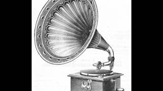 The Connecticut Collegions -  Ali Baba's Camel