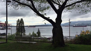 Vancouver East House views