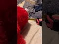 Elmos Measuring Stuff