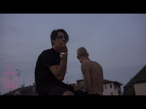 Adrian Sellevoll - Molly [Teaser] (Dir. by @adamdawdamadeit)