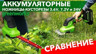 Садовые ножницы-кусторез аккумуляторные Greenworks 24В G24SHT 1600607