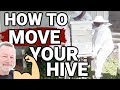 Beekeeping | How To Move Your Hive