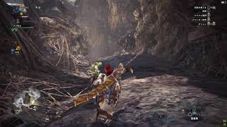 MONSTERHUNTER/MHWI