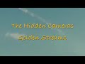 The Hidden Cameras - Golden Streams (karaoke)