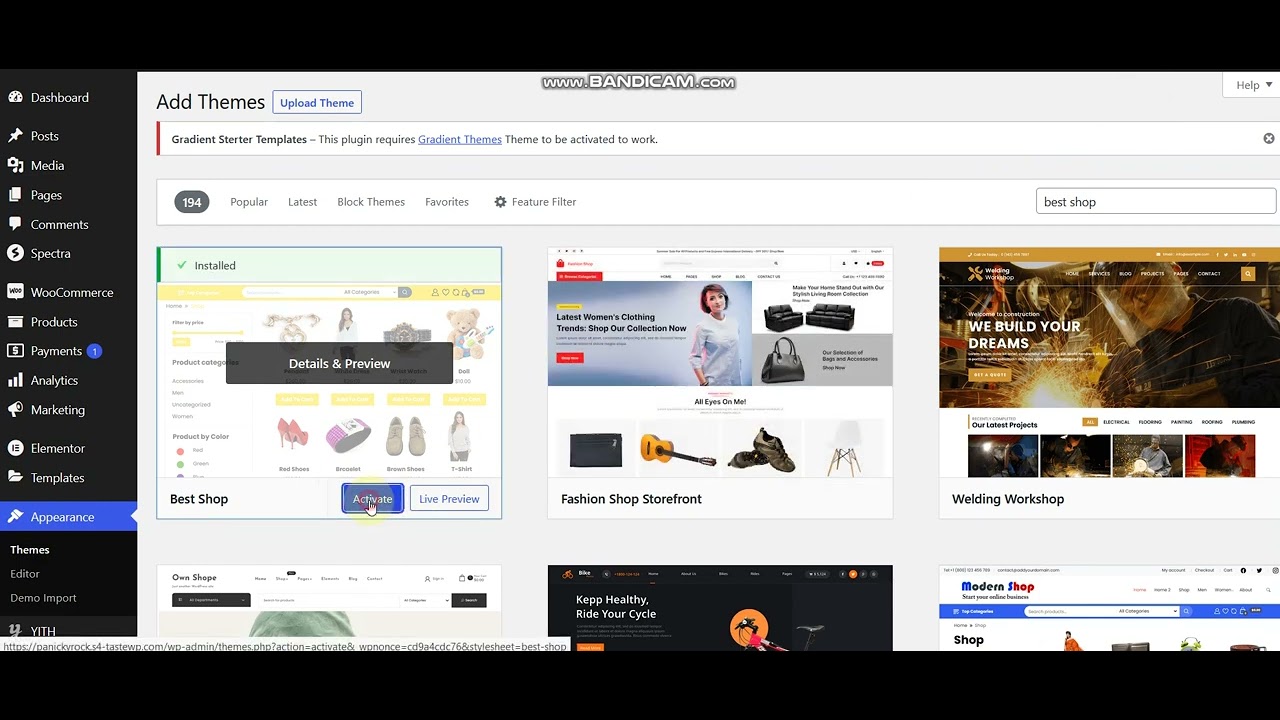 Install WordPress theme and Pro plugin