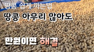 만원이면 땅콩 아무리 많이도 쉽게 깐다