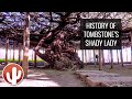 Tombstone S Shady Lady Banks History Of The WORLD S LARGEST ROSE TREE Planting Of A Clipping