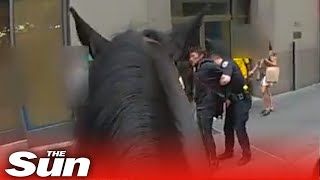 New York cop on horseback races after &#39;robber&#39; in Times Square #Shorts