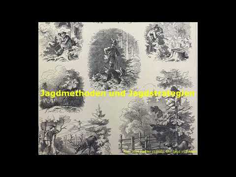 Rehe jagen im Mai? Jagdmethoden und Jagdstrategien im Forstbetrieb