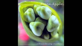 Fiona Apple - Not About Love