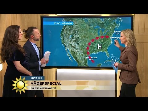 Värmesmockan: "Det är lite läskigt" - Nyhetsmorgon (TV4)