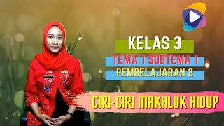 Kelas 3 Tema 1 Subtema 1 Pembelajaran 2 : Ciri-ciri Makhluk Hidup