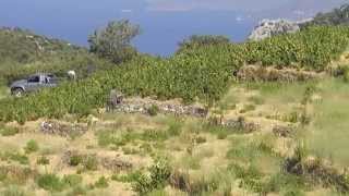 preview picture of video 'Griechenland - Insel Samos - Vourliotes'
