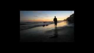 A Supermarket in California by Allen Ginsberg (With Kinetic Typography)