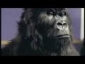 Cadbury Gorilla