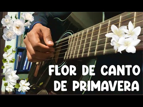 Flores Del Canto De La Primavera - Arturo Meza