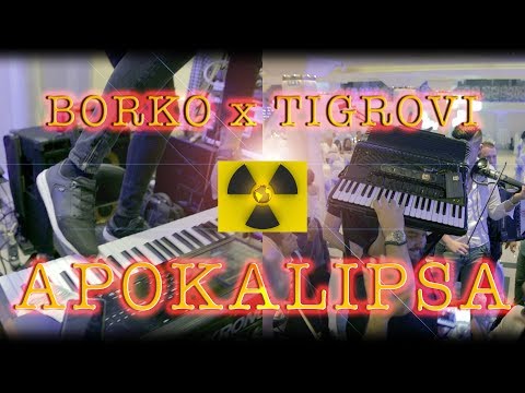 Borko Radivojevic x Tigrovi - APOKALIPSA