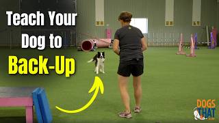 Teaching Your Dog The Back Up Trick: Tips, Criteria, Strategy