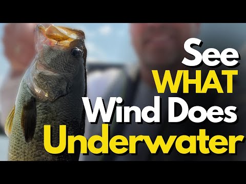 Underwater Footage of HOW Wind Affects Bass Fishing