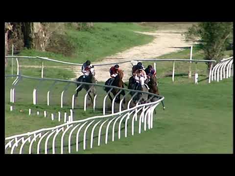 Napoli Galoppo 16/02/2021 - 3ª corsa