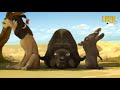 Itchy Back Leon The Lion